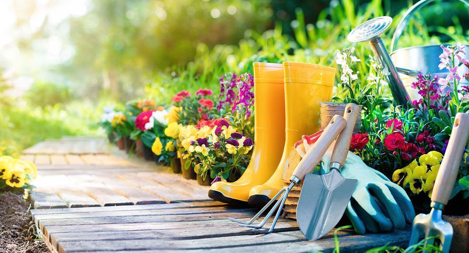 Yeşil Tarım, Peyzaj, Bahçe Kültürleri Üretim ve Pazarlama 
