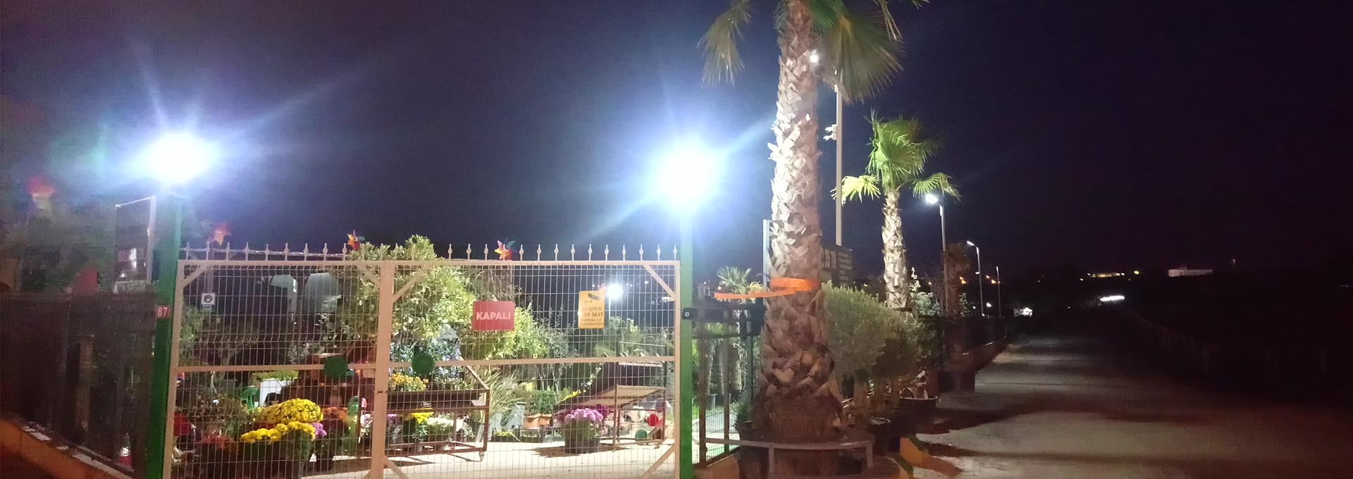 Yeşil Botanik, Peyzaj, Bahçe Düzenleme ve Bitki Satış